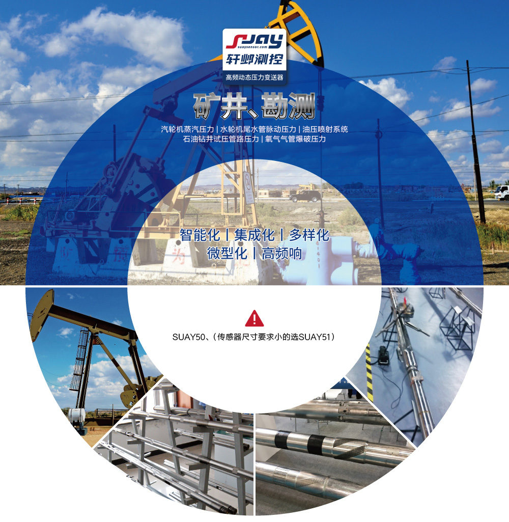 礦井勘測(cè)（汽輪機(jī)蒸汽、水輪機(jī)尾水管脈動(dòng)、油壓噴射系統(tǒng)）